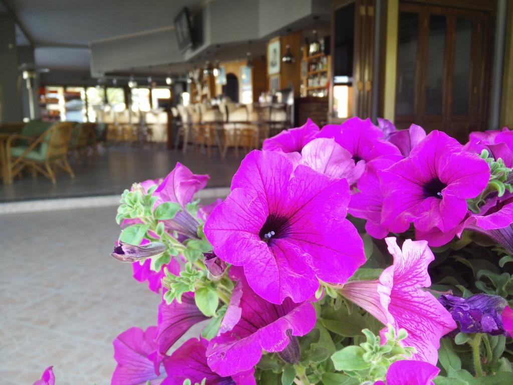 Tondoris Aparthotel Sidari (Corfu)